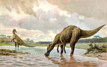Segundo estudos, dinossauros tinham uma grande característica física