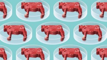 Novos tipos de carne podem ser criados, diz CEO da Impossible Foods