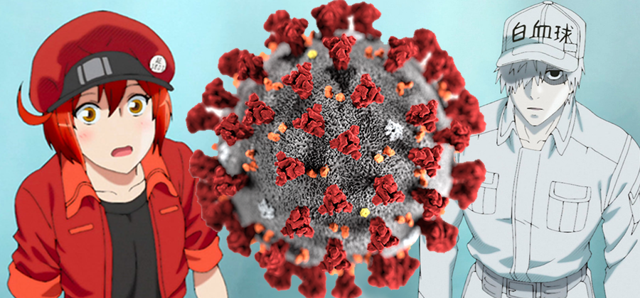Cells at Work!”: anime sobre as células do corpo humano ganha novos  episódios