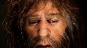 Simulação de supercomputador revela o motivo da extinção dos neandertais