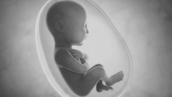 O que o bebê faz um dia antes de nascer?
