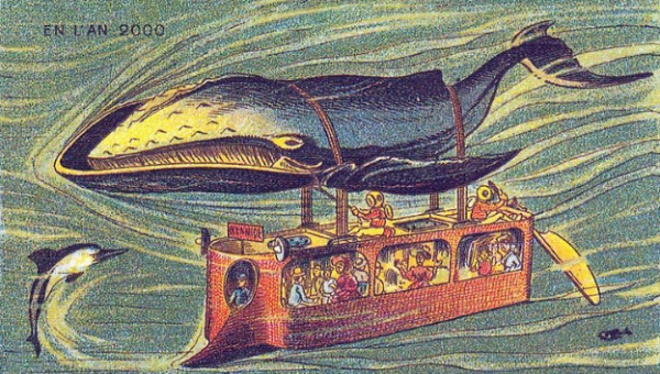 Ônibus de baleia
