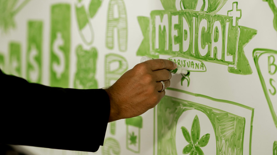 10 universidades que têm cursos focados em maconha