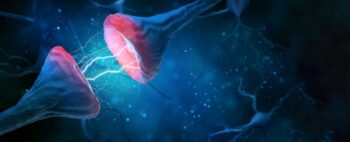 Experiências em rato sugerem que ocitocina pode ser usada no tratamento de Alzheimer