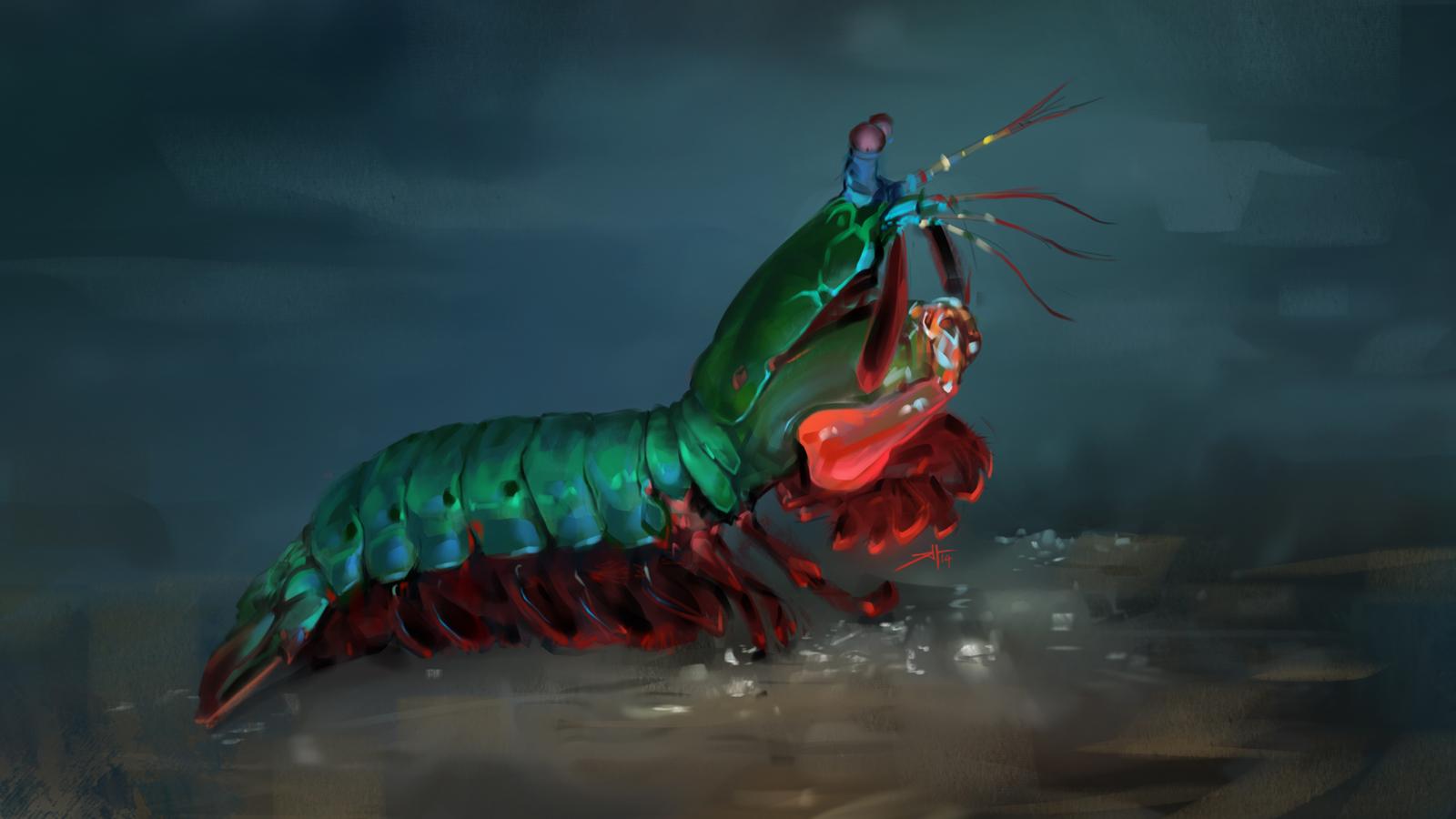 Soco Mais Forte Do Mundo O camarão mantis tem o soco mais rápido do oceano e agora se sabe como suas  garras sobreviveram – Fatos Desconhecidos