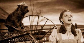 10 cachorros mais famosos da história