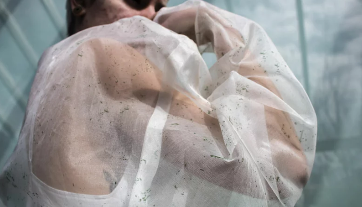 Essas roupas fazem fotossíntese e purificam o ar ao seu redor