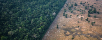 Um em cada 5 países pode estar caminhando para o colapso ambiental