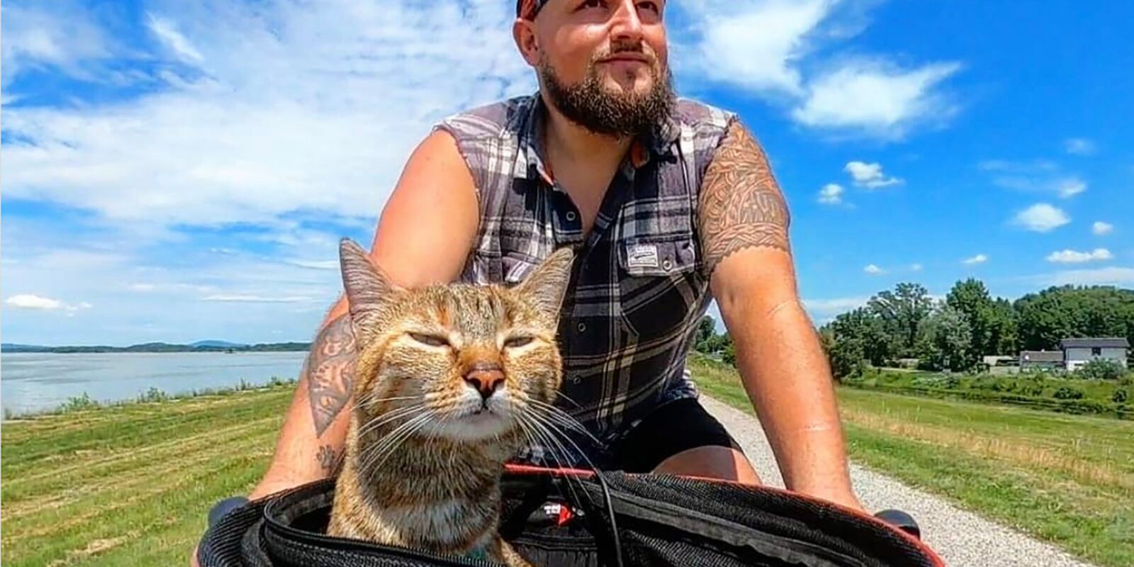 Essa gata viajante provavelmente conhece mais lugares do que você