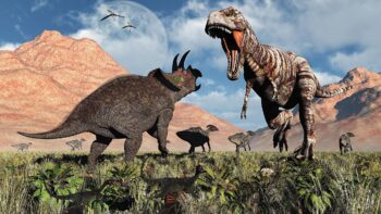 Fóssil incrível mostra a luta entre um T. Rex e um Tricerátops