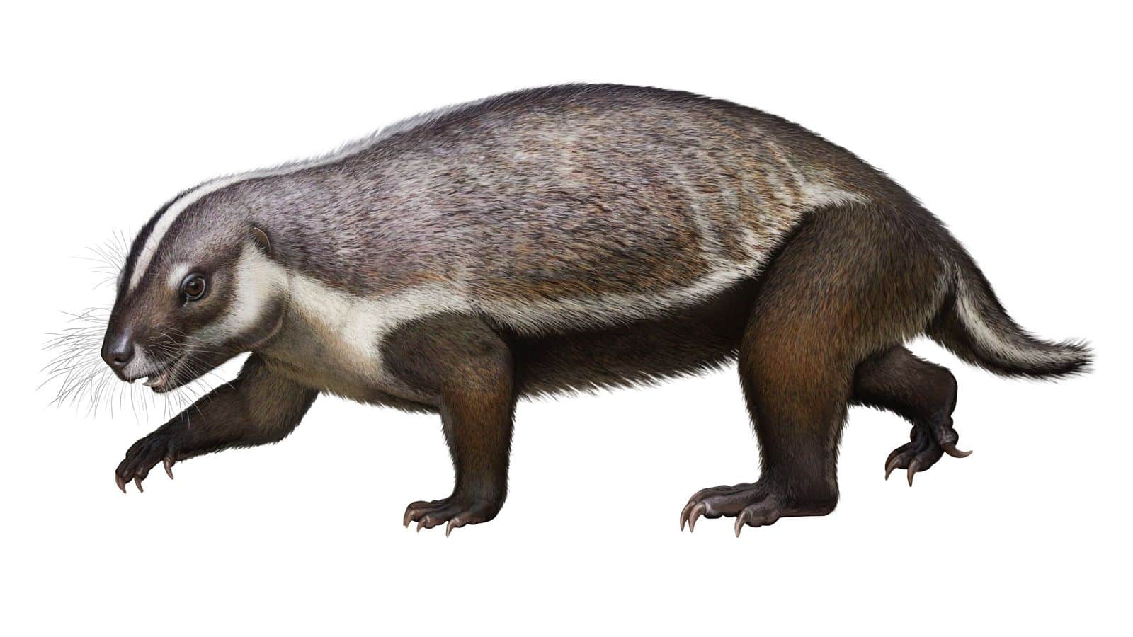 Besta louca, que viveu entre os dinossauros, quebrou as regras da evolução