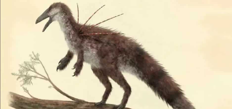 Descoberta de fóssil de dinossauro brasileiro intriga cientistas