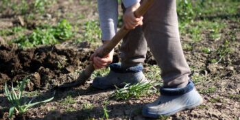 7 coisas curiosas que foram encontradas em jardins de casas
