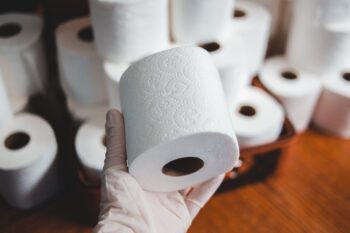 O que usavam antes da criação do papel-higiênico?