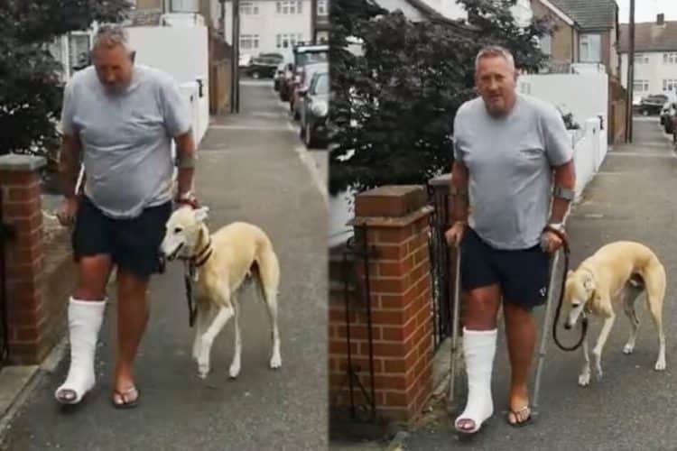 Cachorro manca para imitar dono e viraliza