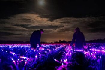 Artista transforma plantações agrícolas utilizando lâmpadas LEDs