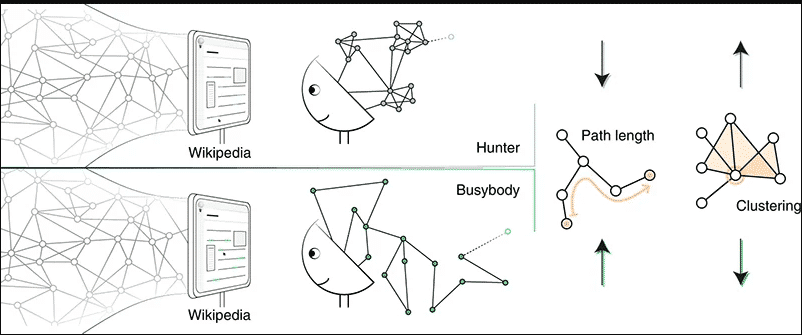 tipos de curiosidade