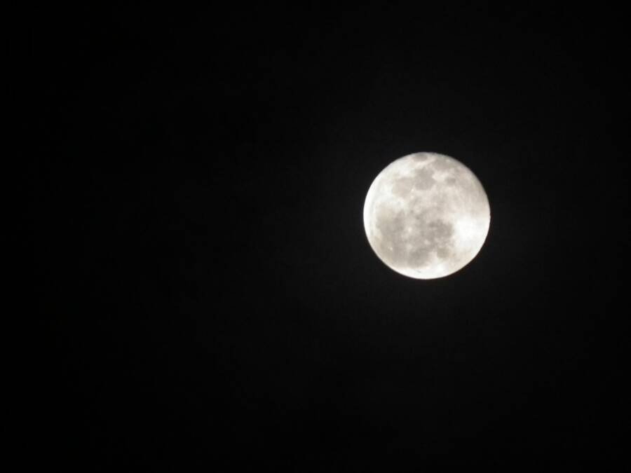 Cientistas querem enviar amostras de espermatozoides para a Lua
