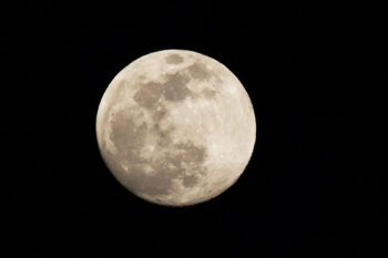Cientistas sugerem uma criação de peixes na lua