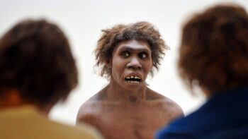 Estudo mostra que neandertais usavam uma ferramenta bem familiar para sua higiene dentária