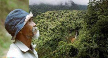 Senhor da Indonésia realiza sozinho reflorestamento de uma área de 250 hectares