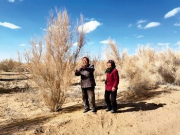Conheça a história do casal que reflorestou um deserto