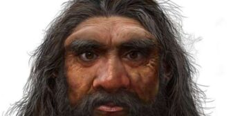 Esse pode ser o ancestral mais próximo do ser humano e não é o neandertal