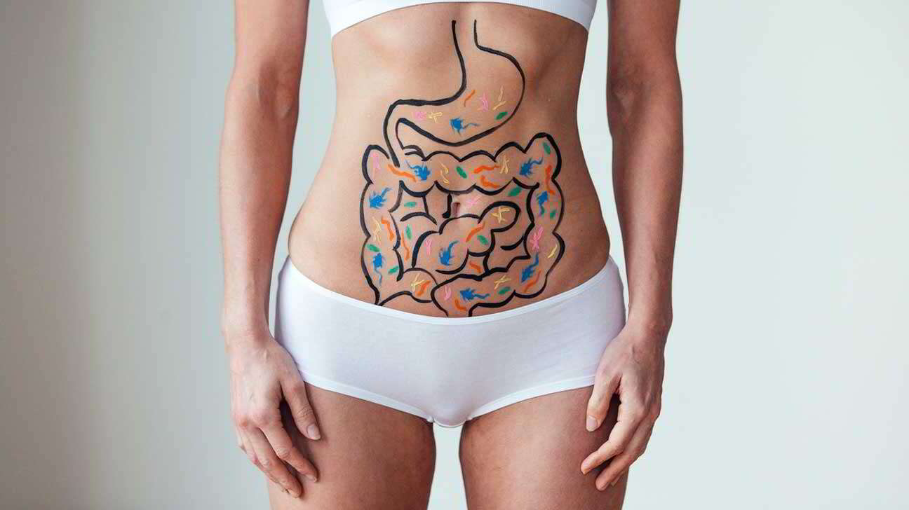 Ter bactérias intestinais ”boas” pode ajudar na perda de peso