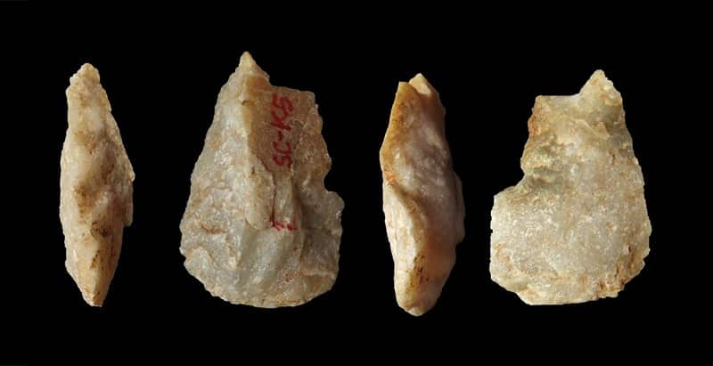 Descoberta de ferramenta de osso de 400 mil anos desafia a compreensão dos primeiros humanos