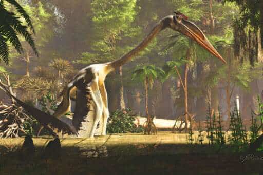 Quetzalcoatlus: o maior pterossauro voador da história