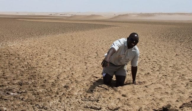 Foto de Areia Movediça e mais fotos de stock de Areia movediça