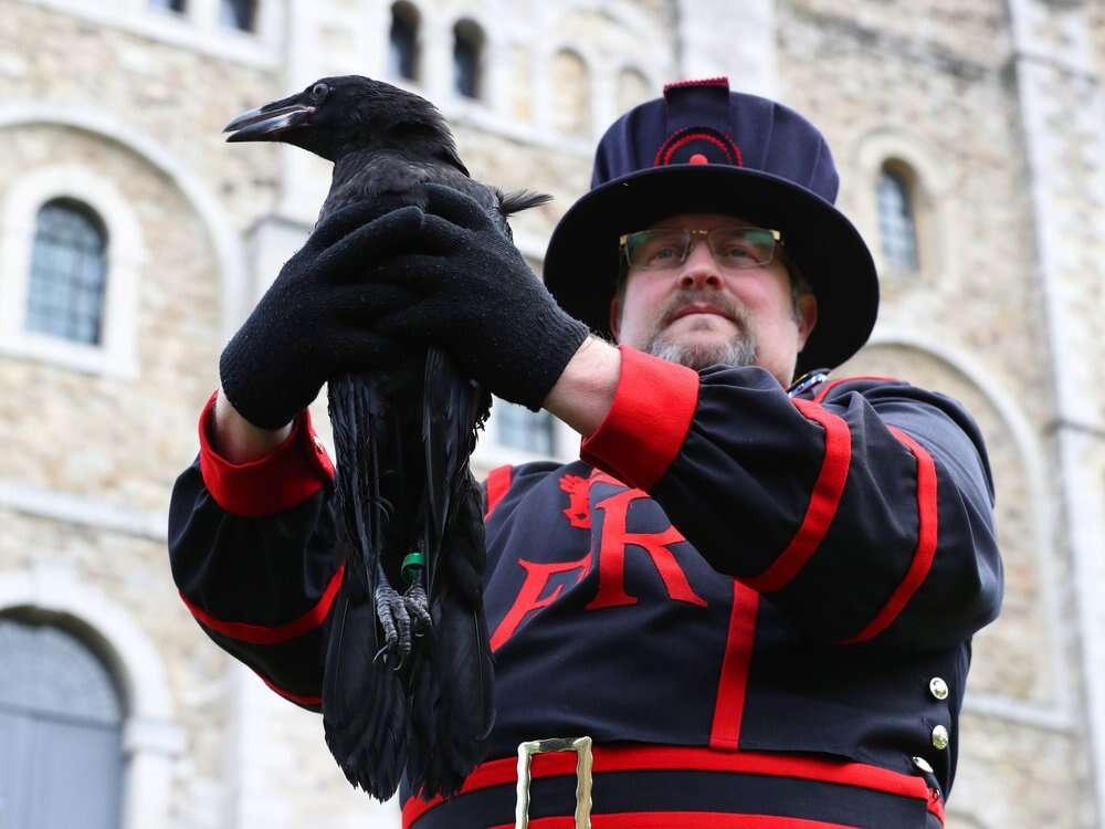 Ravenmaster