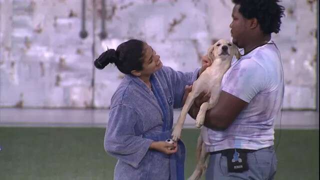 Relembre os cachorrinhos que já participaram do BBB