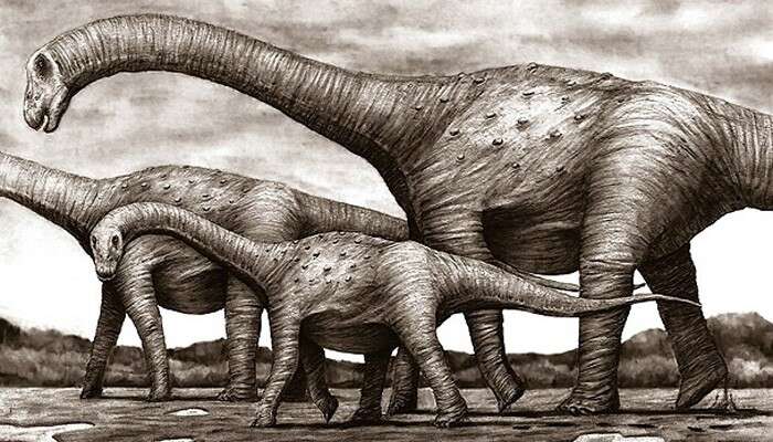 Sousatitan: o dinossauro de espécie inédita encontrado na Paraíba
