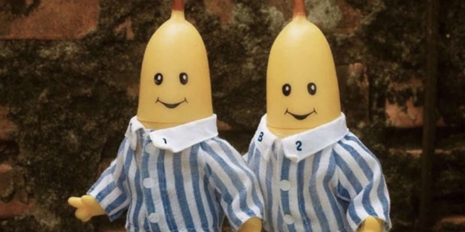 Atores de Bananas de Pijamas são casados há mais de 20 anos Fatos