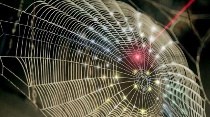 Teia de aranha foi transformada em música