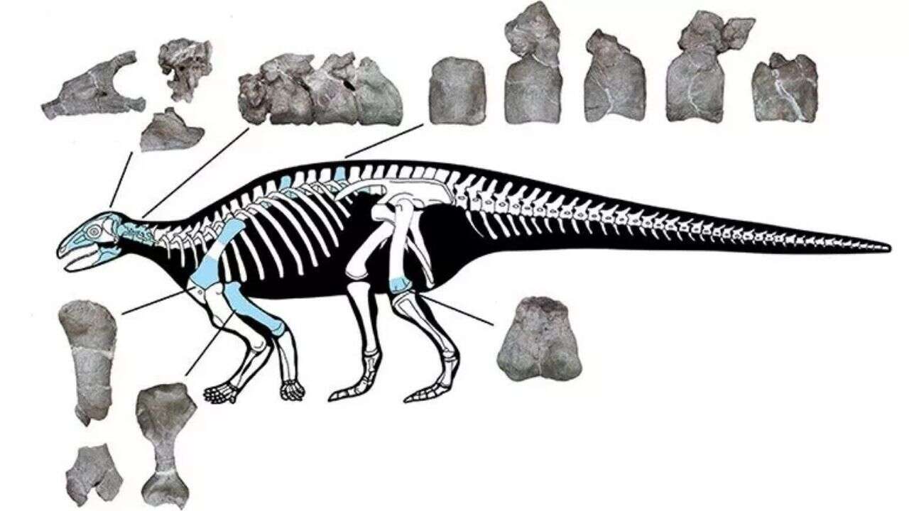 dinossauro