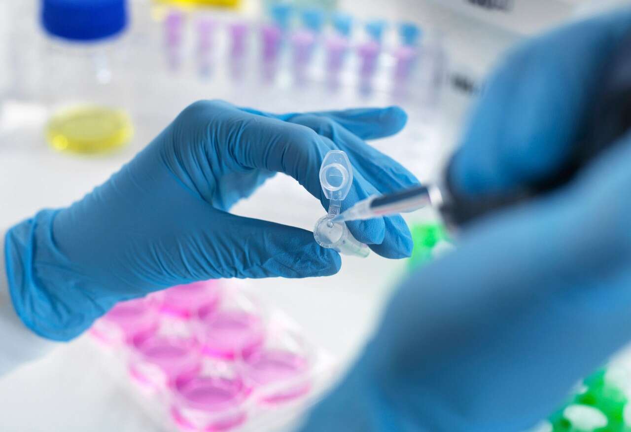 Vítima de violência sexual processa polícia nos EUA por usar seu DNA para prendê-la