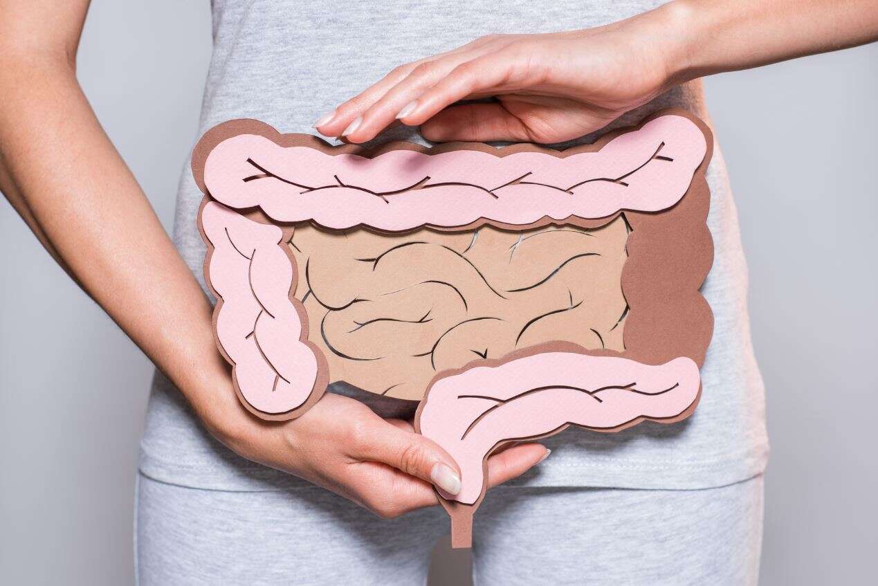O intestino é realmente o segundo cérebro do corpo humano?