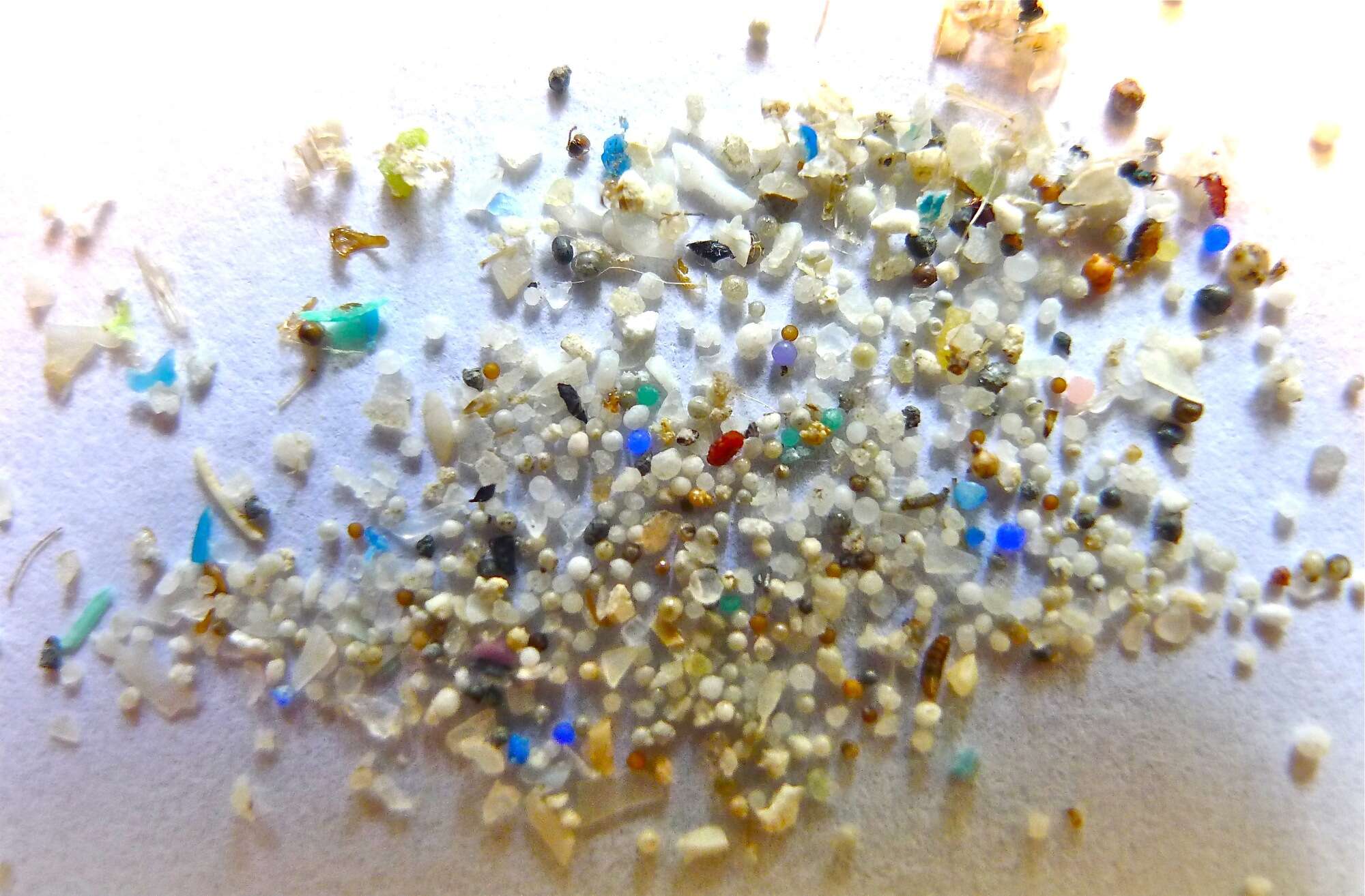 Microplásticos são encontrados em pulmões de pessoas vivas