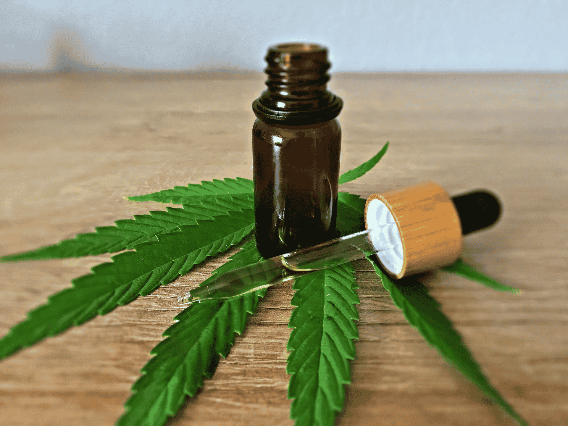 Cannabis/maconha medicinal
