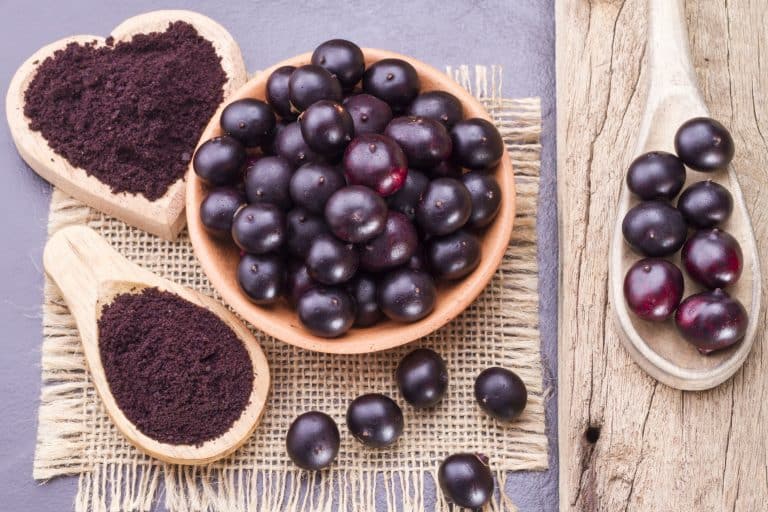 Como o açaí se popularizou mundialmente