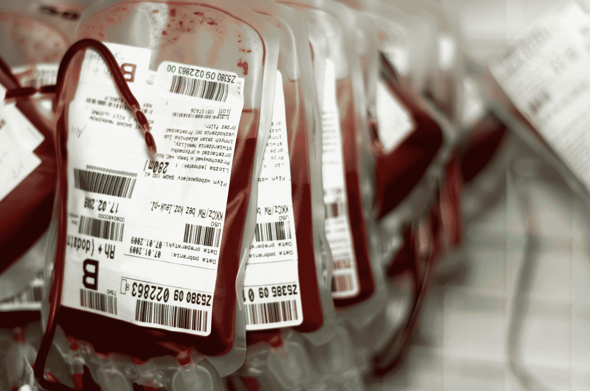 Tratamentos filtram sangue e prometem frear o envelhecimento