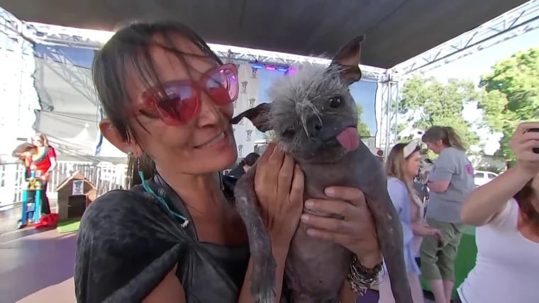 Concurso elege cachorro mais feio do mundo