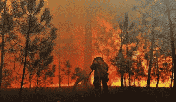fogo florestal no pantanal