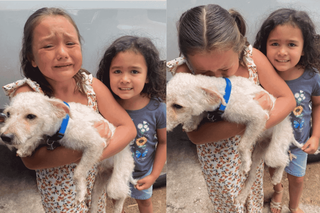 Jovem relata sumiço de cachorro e descobre que pet estava em bar