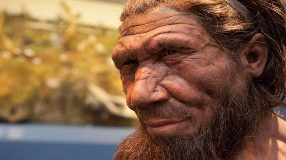 O fim dos neandertais foi causado pela reversão dos polos magnéticos