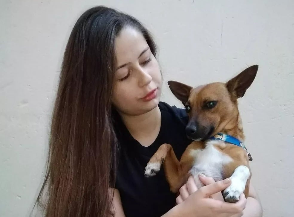 Tutora encontra cachorro que estava desaparecido há quase três anos