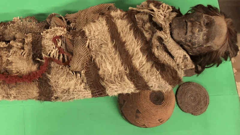 Piolhos de múmias revelam informações sobre povos da América do Sul há 2 mil anos
