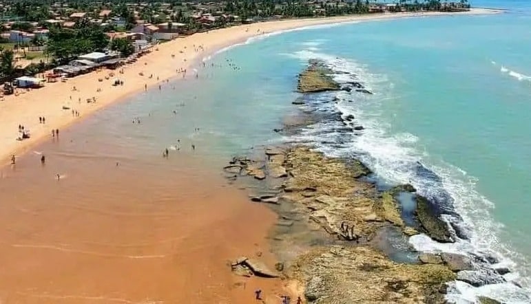 Tartarugas são confundidas com pessoas se afogando em praia de Alagoas